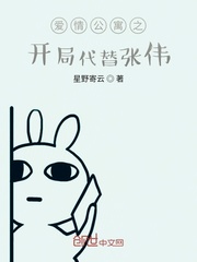 爱情公寓之开局做选择